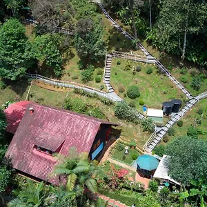 Bosque De Niebla Birding & Nature Lodge Cali